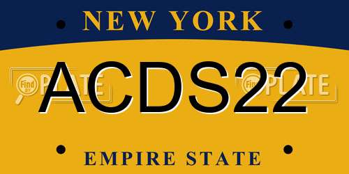 ACDS22 New York License Plate