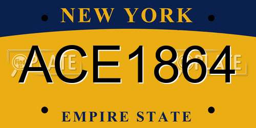 ACE1864 New York License Plate