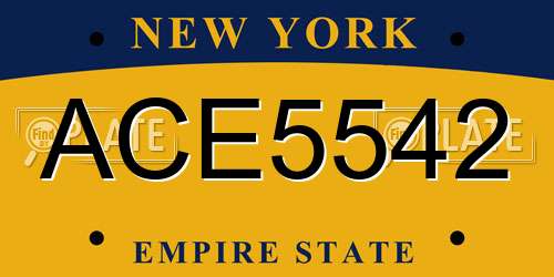 ACE5542 New York License Plate