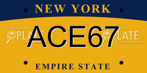 ACE67 New York License Plate