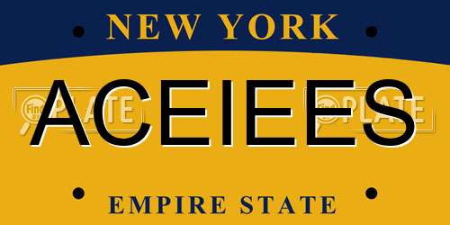 ACEIEES New York License Plate