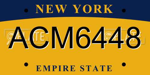 ACM6448 New York License Plate