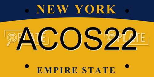 ACOS22 New York License Plate