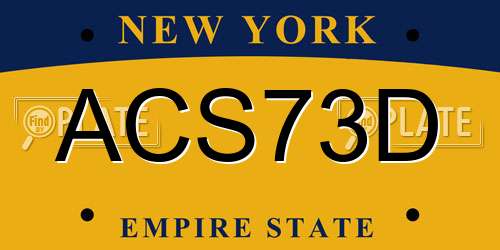 ACS73D New York License Plate