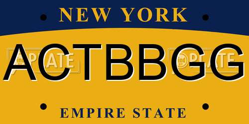 ACTBBGG New York License Plate