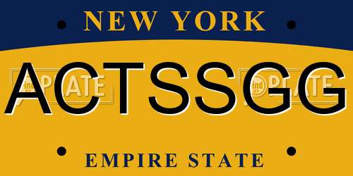 ACTSSGG New York License Plate