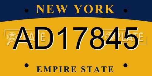 AD17845 New York License Plate