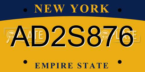 AD2S876 New York License Plate