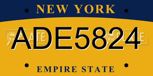 ADE5824 New York License Plate