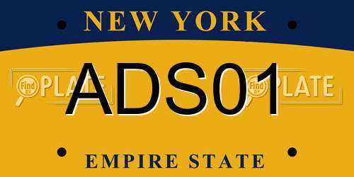ADS01 New York License Plate