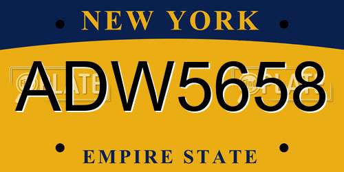 ADW5658 New York License Plate