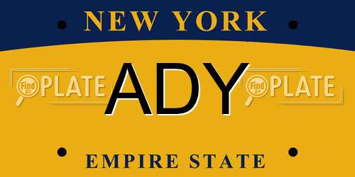 ADY New York License Plate