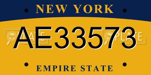 AE33573 New York License Plate