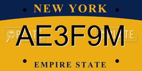 AE3F9M New York License Plate