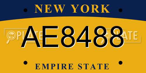AE8488 New York License Plate