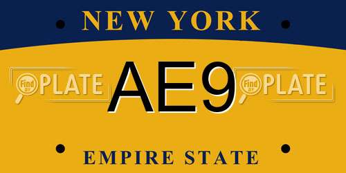 AE9 New York License Plate
