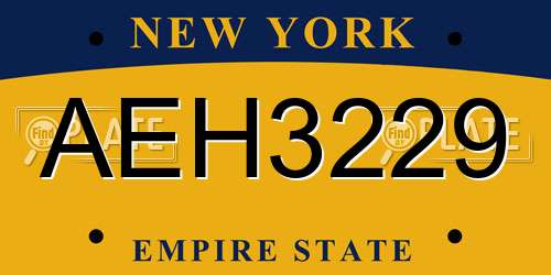 AEH3229 New York License Plate
