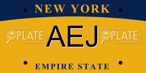 AEJ New York License Plate