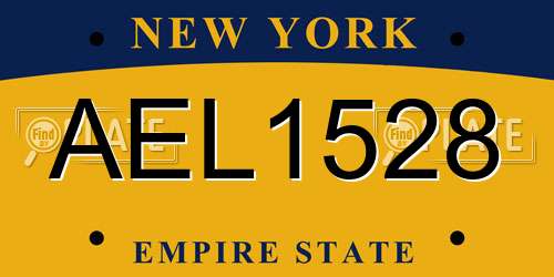 AEL1528 New York License Plate