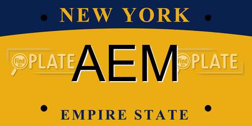 AEM New York License Plate