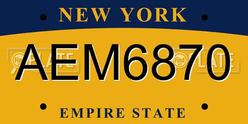 AEM6870 New York License Plate