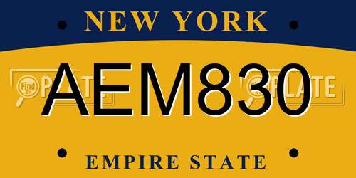 AEM830 New York License Plate