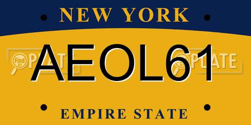 AEOL61 New York License Plate