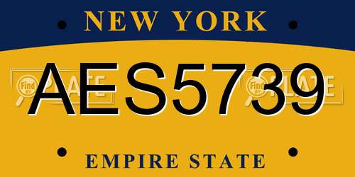 AES5739 New York License Plate