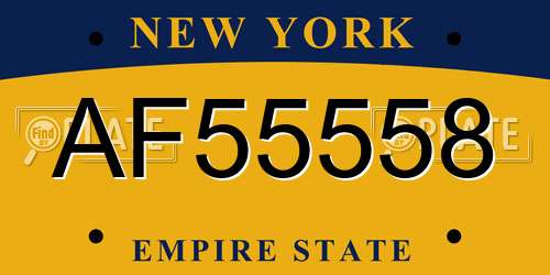 AF55558 New York License Plate