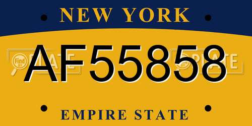 AF55858 New York License Plate