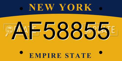AF58855 New York License Plate