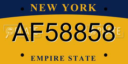 AF58858 New York License Plate