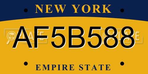 AF5B588 New York License Plate