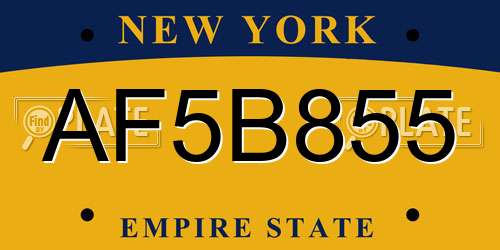 AF5B855 New York License Plate
