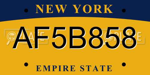 AF5B858 New York License Plate