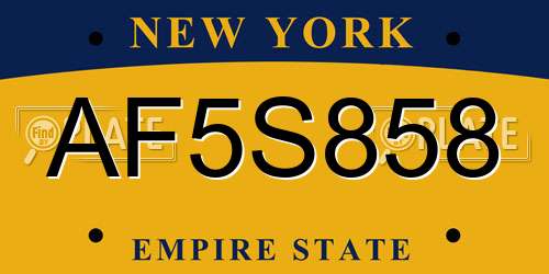 AF5S858 New York License Plate