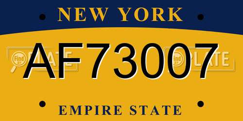AF73007 New York License Plate