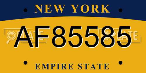 AF85585 New York License Plate