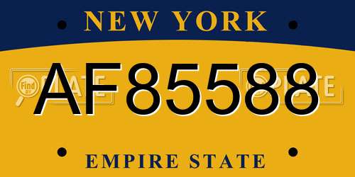 AF85588 New York License Plate