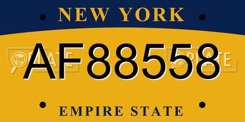 AF88558 New York License Plate
