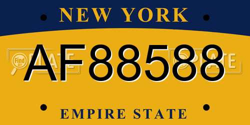 AF88588 New York License Plate