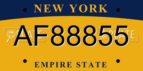 AF88855 New York License Plate