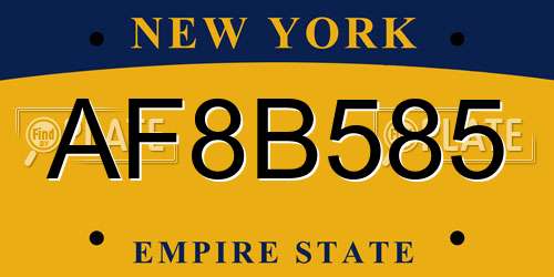 AF8B585 New York License Plate