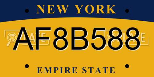 AF8B588 New York License Plate