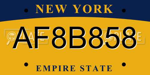 AF8B858 New York License Plate