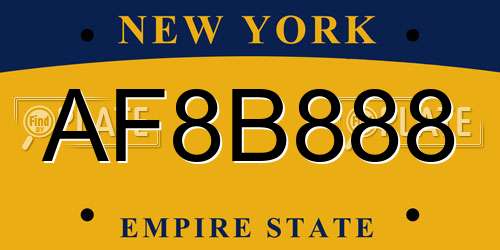 AF8B888 New York License Plate