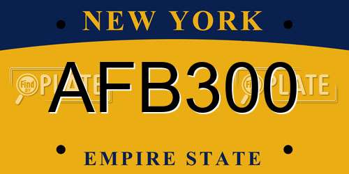 AFB300 New York License Plate