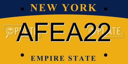 AFEA22 New York License Plate