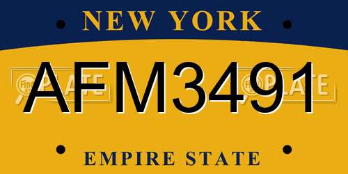 AFM3491 New York License Plate