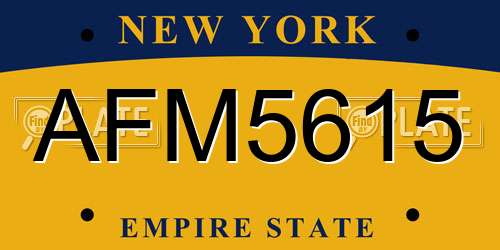 AFM5615 New York License Plate